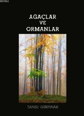 Ağaçlar Ve Ormanlar