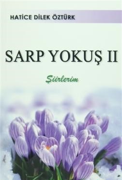 Sarp Yokuş 2