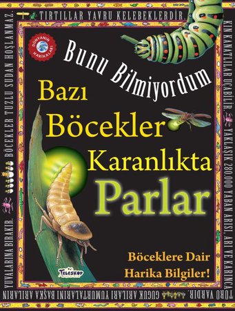 Bazı Böcekler Karanlıkta Parlar - Bunu Bilmiyordum - Böceklere Dair Harika Bilgiler!