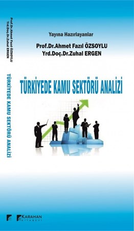 Türkiye'de Kamu Sektörü Analizi