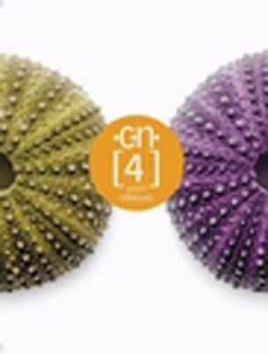 Çeviri Edebiyatı Ç.n.4