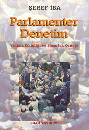 Parlamenter Denetim Yolları, Etkinliği Ve Susurluk Örneği