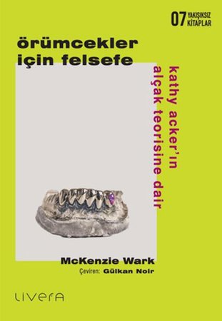 Örümcekler İçin Felsefe: Kathy Acker’ın Alçak Teorisine Dair