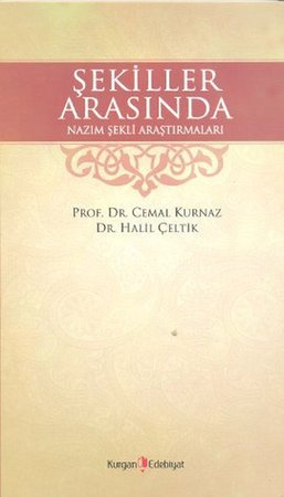 Şekiller Arasında Nazım Şekli Araştırmaları