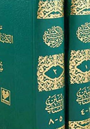 Sünen I Nesai 2 Kitap Takım