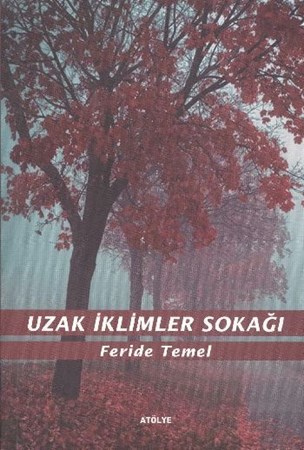 Uzak İklimler Sokağı