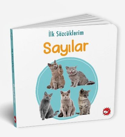 İlk Sözcüklerim - Sayılar