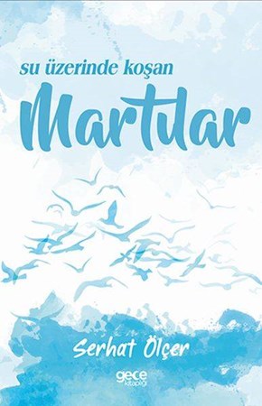 Su Üzerinde Koşan Martılar