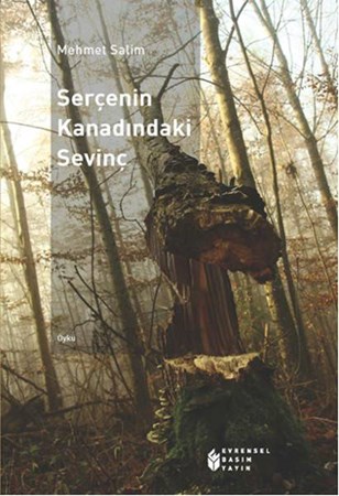 Serçenin Kanadındaki Sevinç