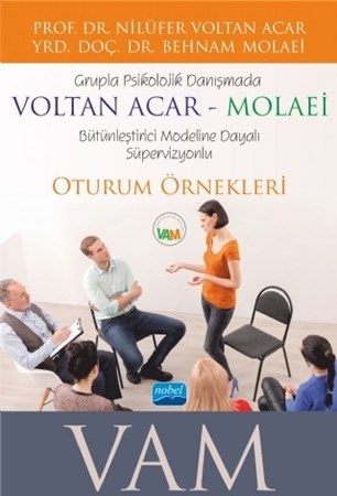 Grupla Psikolojik Danışmada Voltan Acar-Molaei (Vam) Bütünleştirici Modeline Dayalı Süpervizyonlu Oturum Örnekleri