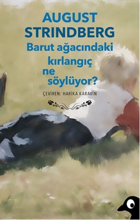 Barut Ağacındaki Kırlangıç Ne Söylüyor
