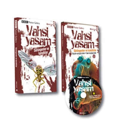 Vahşi Yaşam 2 Sürüngenler Ve Kanatlılar