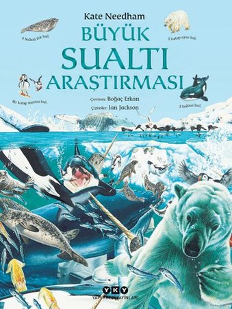 Büyük Sualtı Araştırması