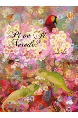 ÖZ KİTAP Fi Ve Pi Nerede?