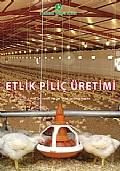 Etlik Piliç Üretimi