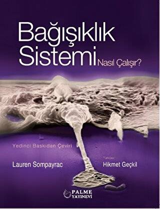 Bağışıklık Sistemi Nasıl Çalışır