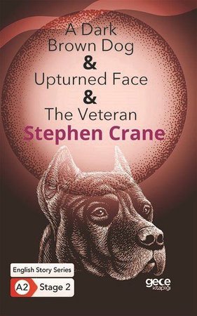 A Dark Brown Dog - Upturned Face - The Veteran - İngilizce Hikayeler A2 Stage 2