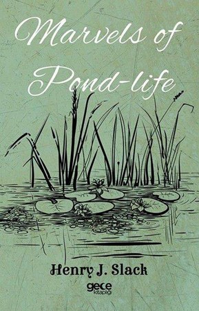 Marvels Of Pond Life