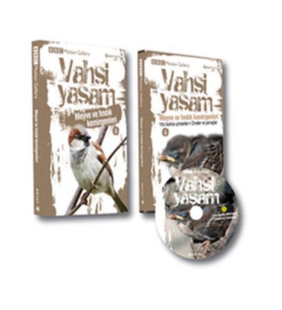 Vahşi Yaşam 2 -  Meyve ve Fındık Kemirgenleri (Dvd Ekli)